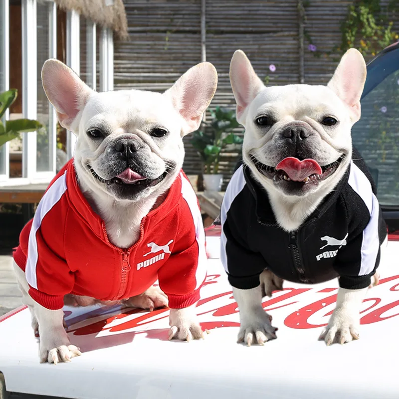 Dog supplie zipper tides designer name brand sweater letter printing Bichon Dog French Bulldog  pet clothes clothing supplies
