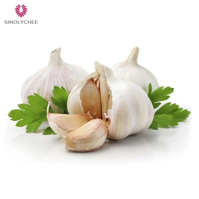 Hot Sale Chinese Fresh  Garlic Exported Normal White  Garlic