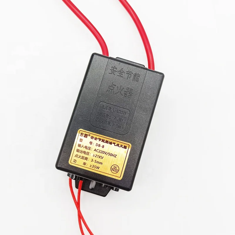 Dongba Hotel Commercial Furnace 220v Pulse Igniter High Voltage Energy saving Electronic IgniterDB-B small box with open flame
