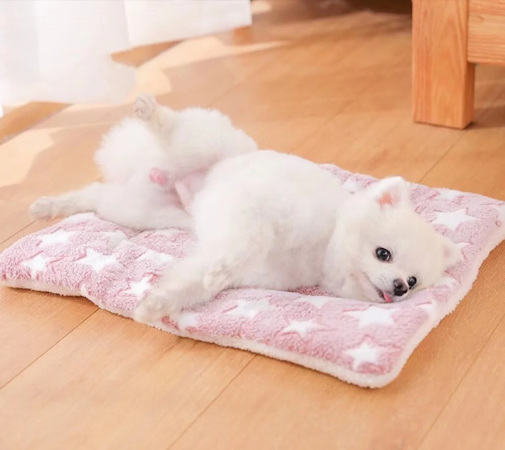 Коврик для домашних животных оптом креативный мультяшный звезда Кот Четыре сезона универсальный плюшевый коралловый флисовый коврик для собак