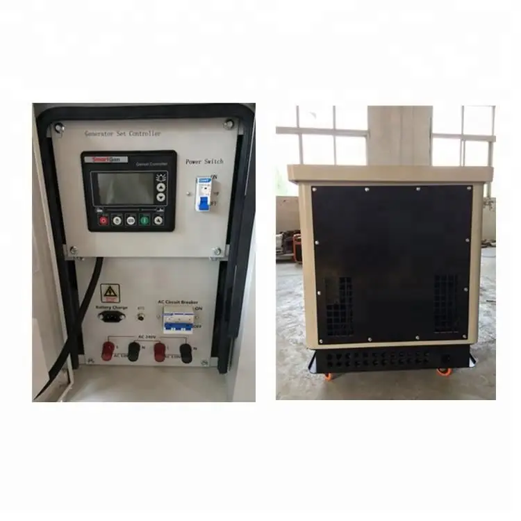 10kw 12kw Small Size Silent Micro Mini Methane Gas Turbine Natural Gas Generator Price for Home Use