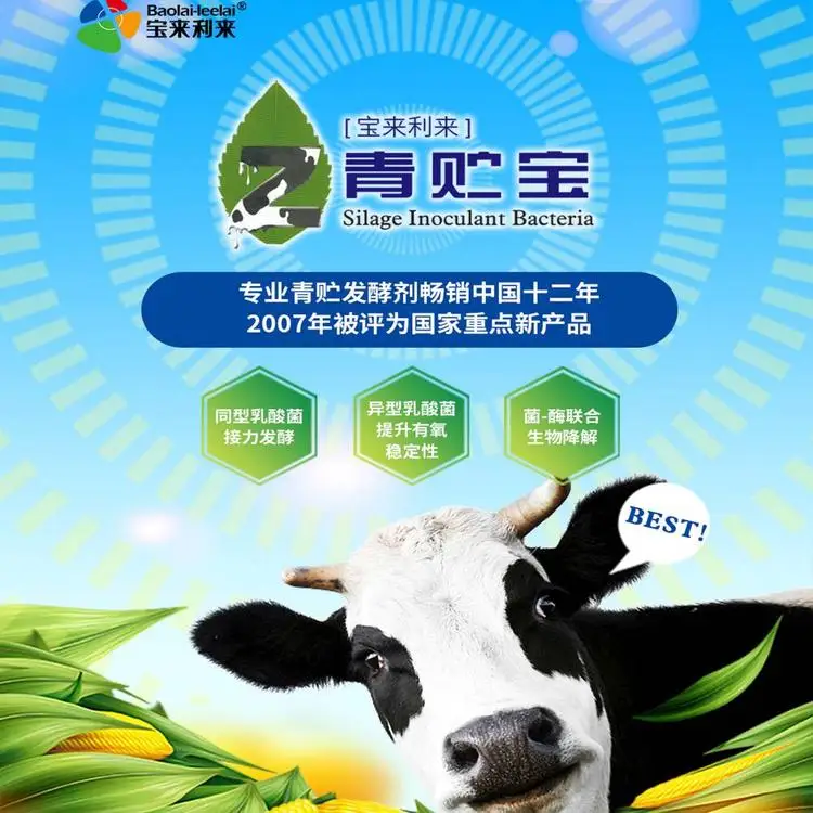 Forage Inoculants Probiotic Silage Inoculant Bacteria and Enzyme Probiotic Silage Fermentation Bacteria for Ruminants