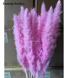 Wholesale Dry Flowers Wedding Dried Decorative Flower Best Natural Real Dried Pampas Grass for art  table flowers