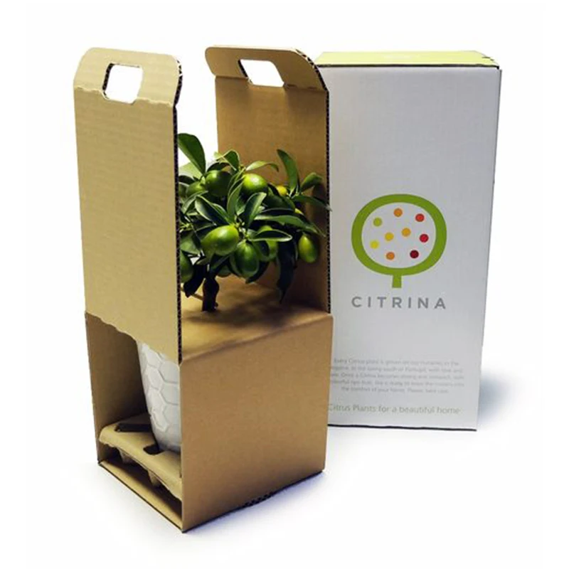 Eco friendly custom potted packaging plant shipping box live plant shipping box for plant