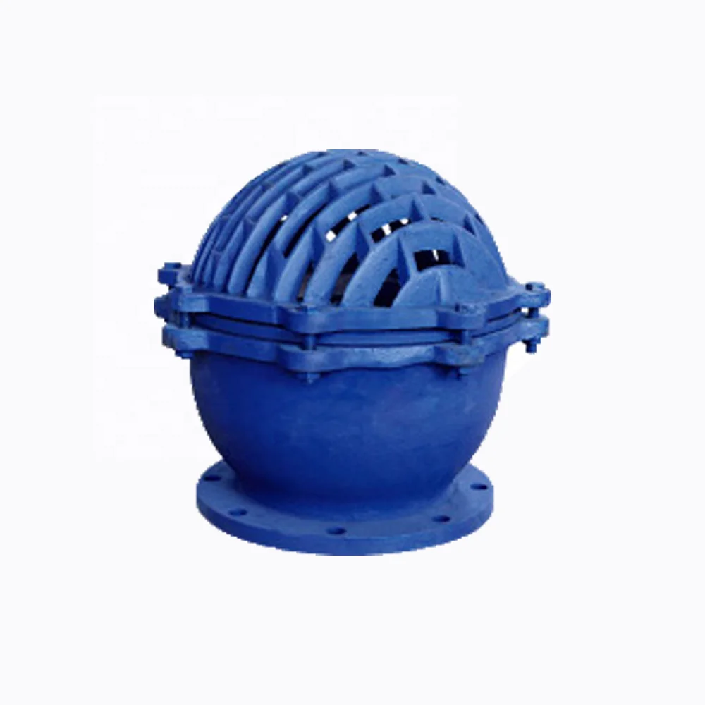 Casting Iron 6 Inch Water Pump Foot Valve