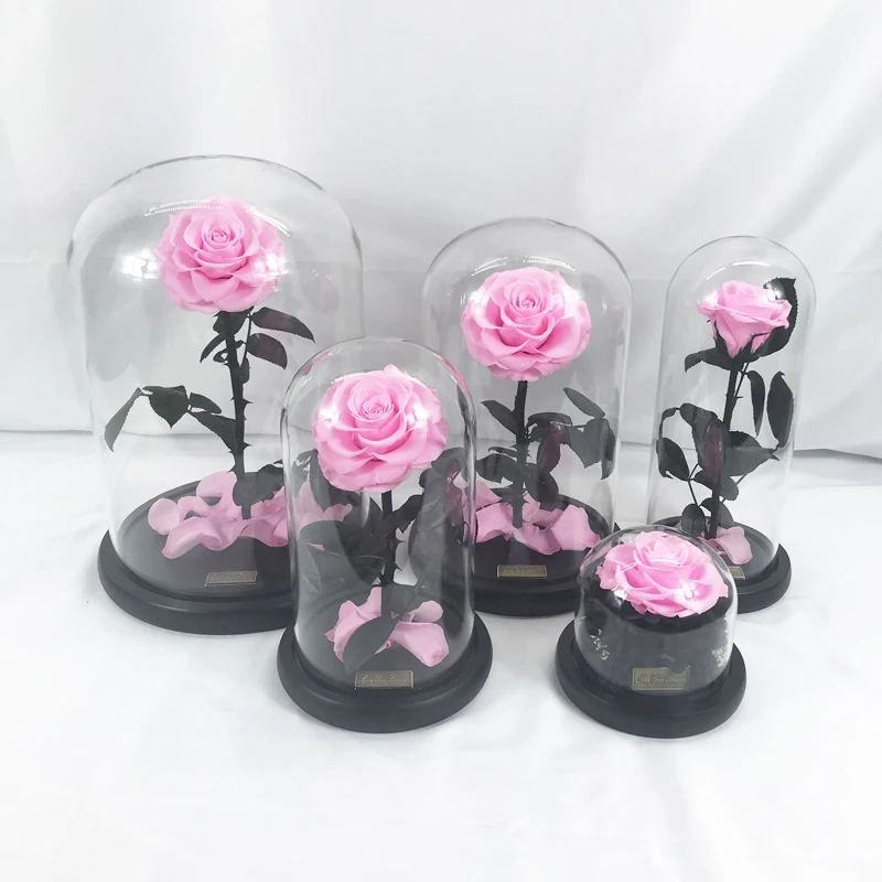 Junio Direct Wholesale Lovely Xmas Valentine Beauty and the Beast Rose Preserved Rose Gift Sets for Women