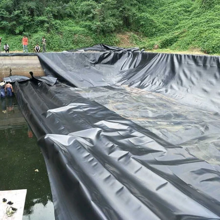 HDPE LDPE LLDPE Plastic Sheeting Roll 1mm 1.5mm 60 Mil Liner Geomembrane Polyethylene Sheet Pond for Fish