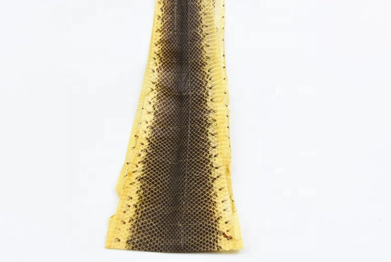 Dry raw water snake skins for leather