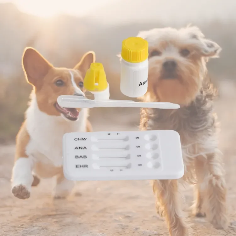 Fast testing result EHR-ANA-BAB test kits for for veterinary use