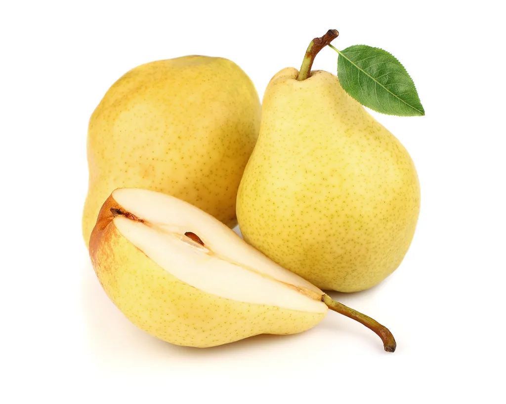 High quality of Chinese pear fruit crown pear new crop fresh pears price for Russia and Ecuador export from China