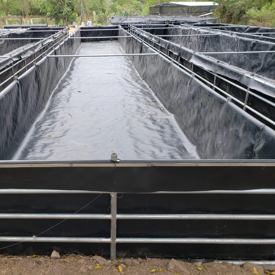 
Geomembrane fish farming large plastic fish pond liner  (60764447300)