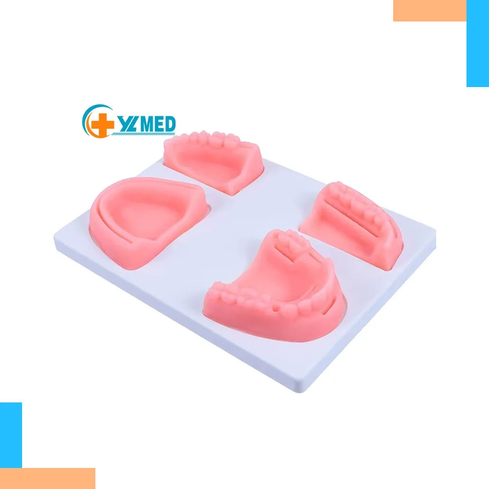 Dental school surgery simulator Pad practice Dental suture model Dental school student training simulation