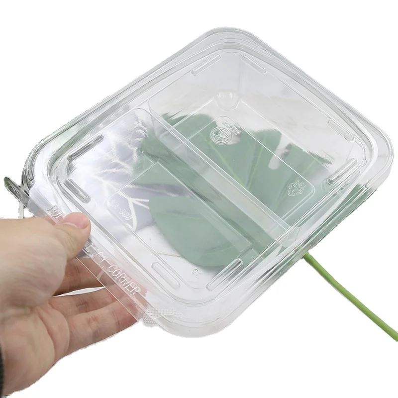 Wholesale food container portable takeaway salad transparent plastic packaging clamshell boxes with tear strip