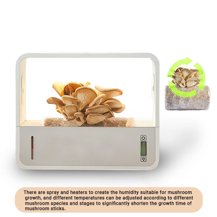 A+ quality Vertical Farming Cheap Full Kit Grow Plant Large Complete Mushroom growing Kit