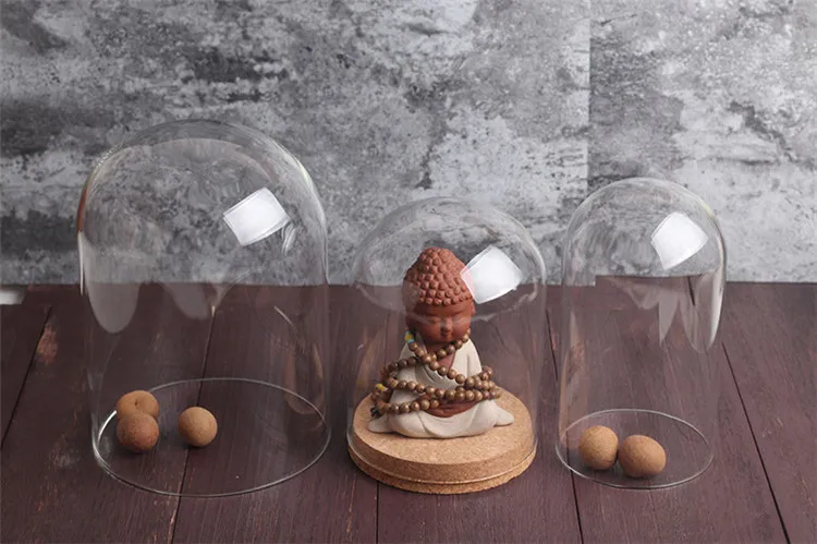 Custom Mini Terrarium Glass Dome with Wooden Cork Base for Hdisplay Decoration