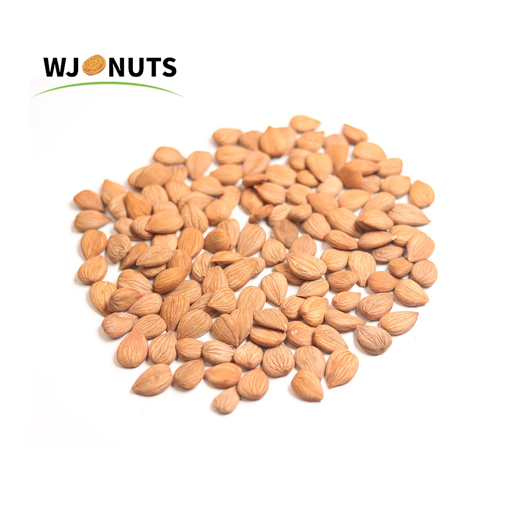 2021 new wholesale California almond badam almond nuts