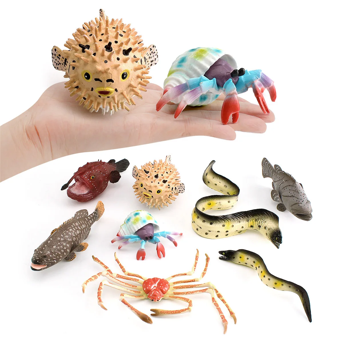 Cross-border Simulation Marine Animal Model Spider River Dolphin Fish Grouper Hermit Crab Moray Eel Ornament Toy