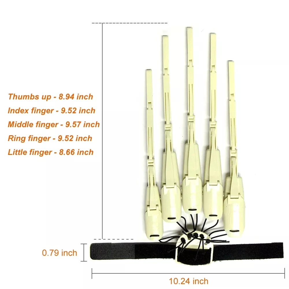 2022 Amazon Halloween Eve Party Decoration 3D Active Adult Toy Skeleton Halloween Articulated Fingers