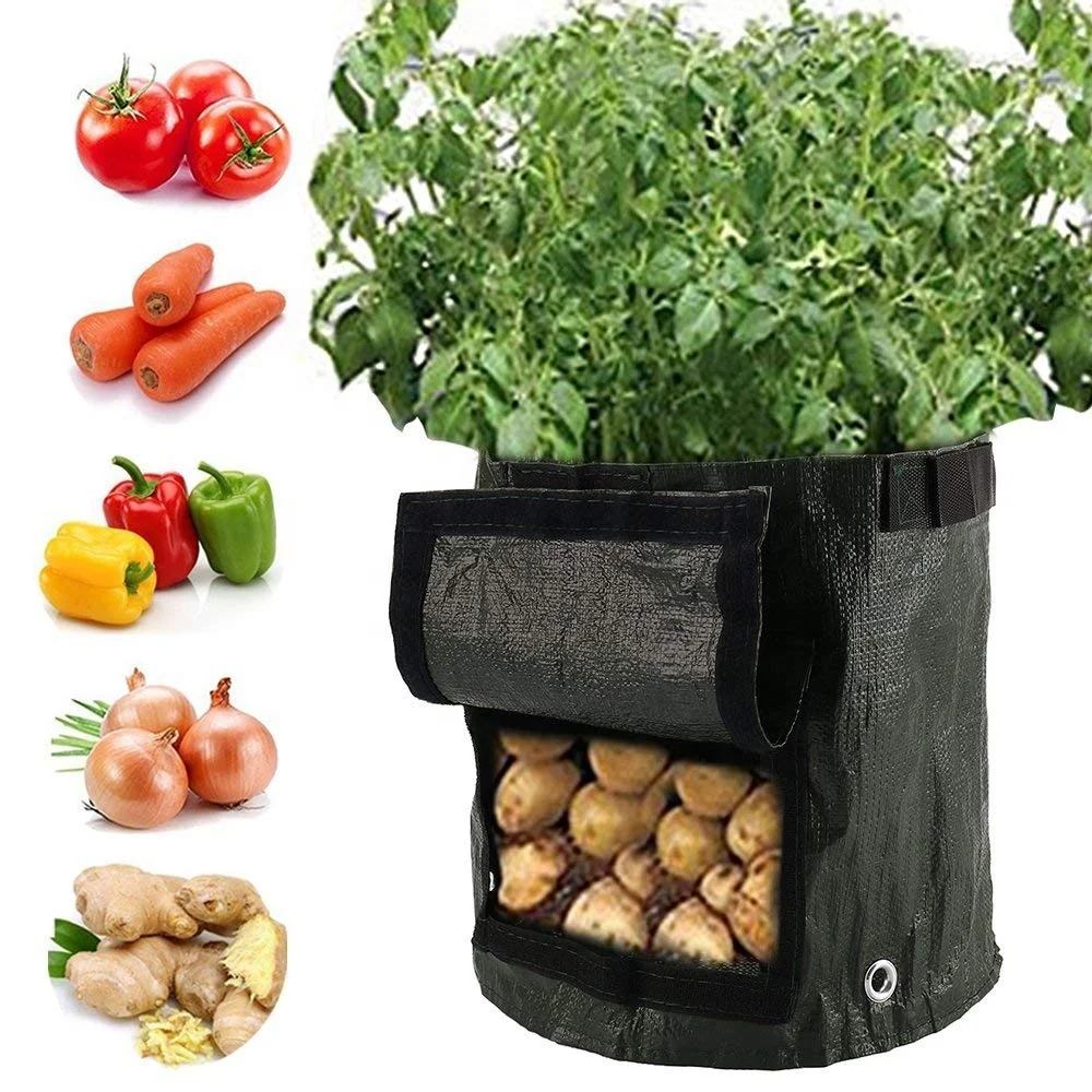 
Wholesale cheap garden tree planting nursery felt planting bagnursery plant grow bag 