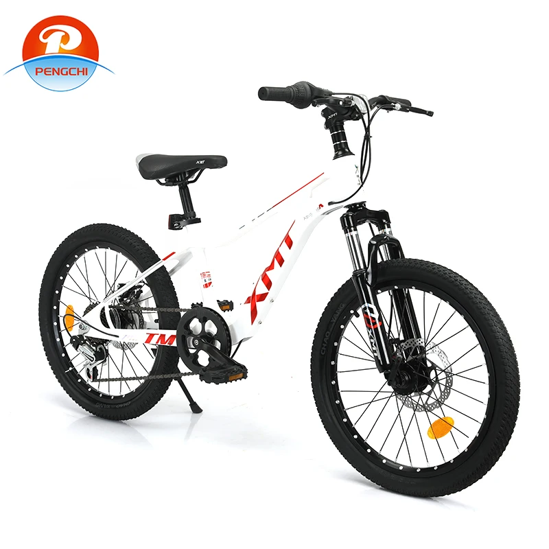 Custom Kids Mountain Bike 20 inch magnesium alloy frame kids bike 7 speed double disc brake boy bike