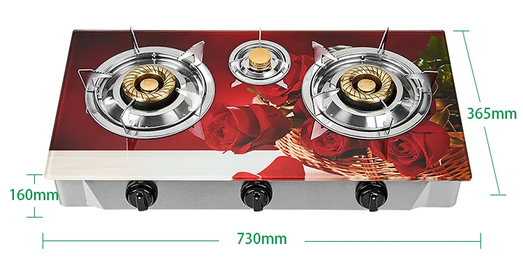 CFGC-9171_Gas Stove