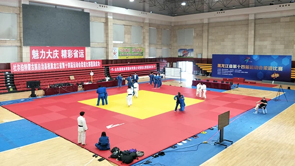 
IJF Standard low price Judo tatami mat for sale 