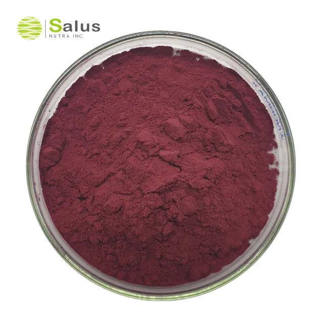 Top Grade Natural Pigment Carmine powder
