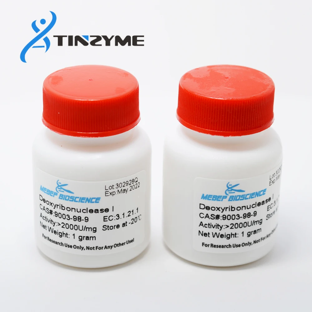 DNase I, Deoxyribonuclease I lyophilized powder