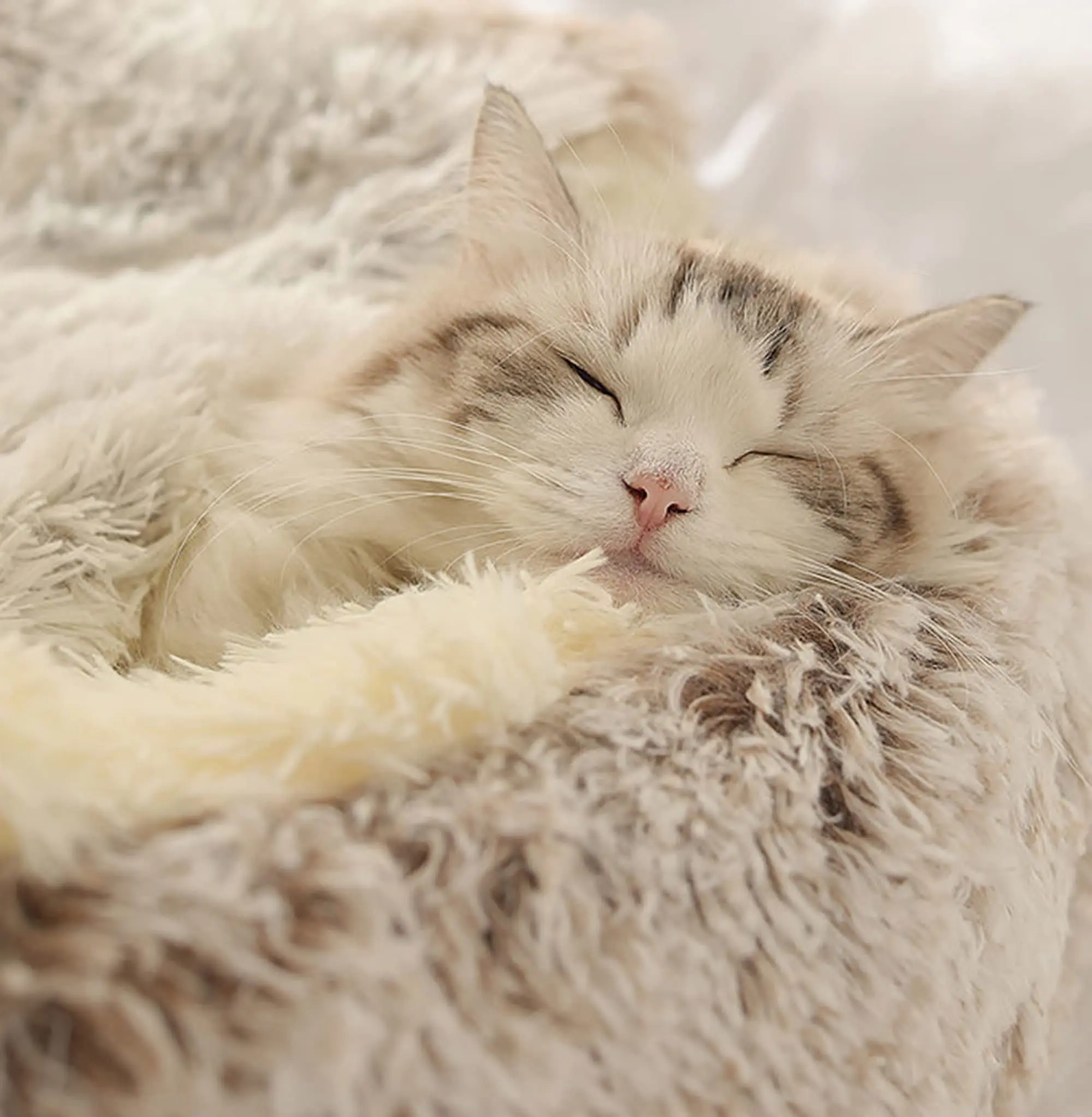 Dog and cat litter universal for all seasons with lid for large and small dogs mat pet bed for winter warmth