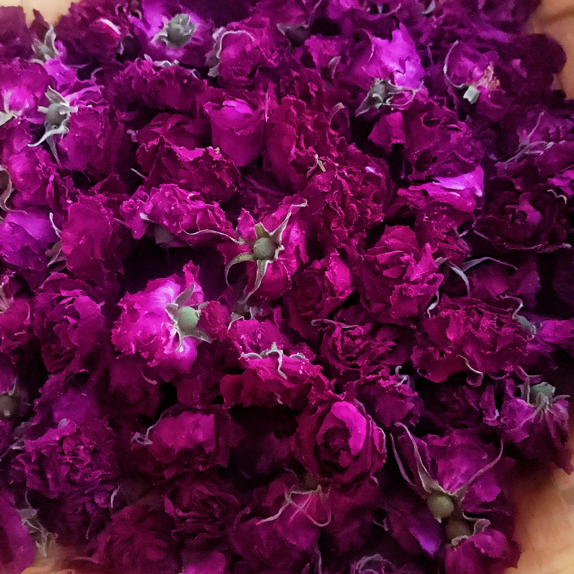 Princess Shao Organic Rose Tea Dried Tea Flowers Dry Flowers Natural Flavor Tea