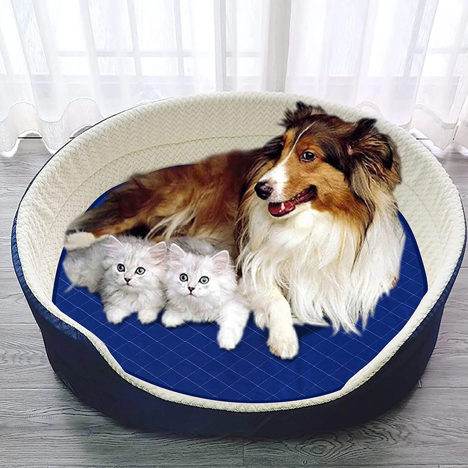 Wholesale best sales 56*56cm OEM Pet Dog Cat Puppy Training Toilet Wee Pee Pads with logo