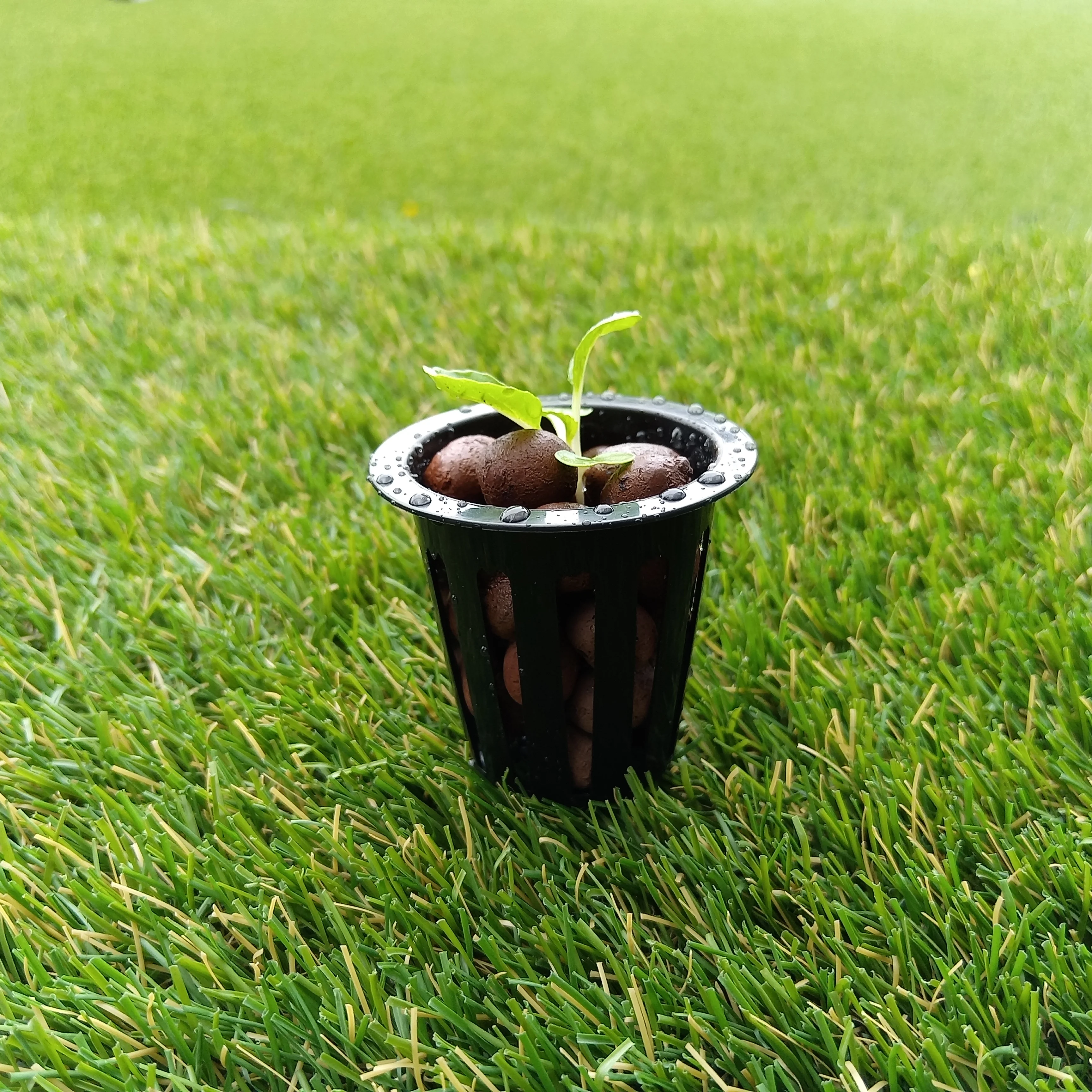 New Product For Hydroponics NFT 2 inch plastic net cup Hydroponic Growing Plant Pot Mesh N Cup