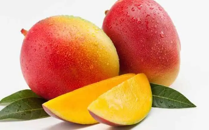 
High Quality Fresh Fruit Tommy Atkins Mango 