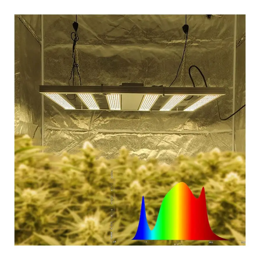 640W 800W 1000W Greenhouse Grow Light,Timing Plant Lights For Indoor Plants,Grow Light For Seedlings,Vegetable And Flower