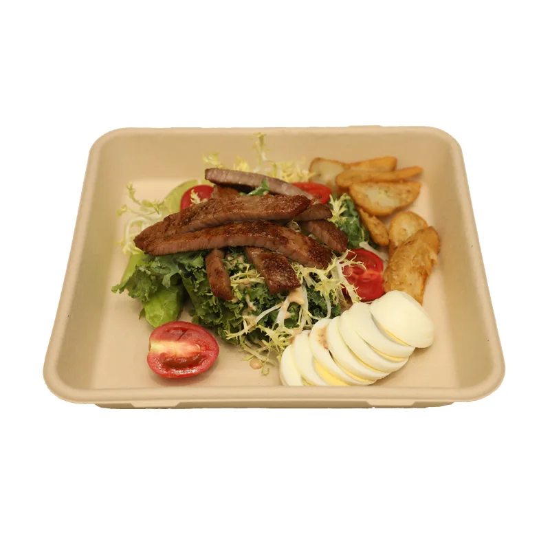 Food Grade 100% Biodegradable Bamboo Pulp Containers Disposable Trays With