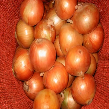 New Season Fresh Chinese Vegetables Red Yellow Onion Price Per Ton For Onion Buyer