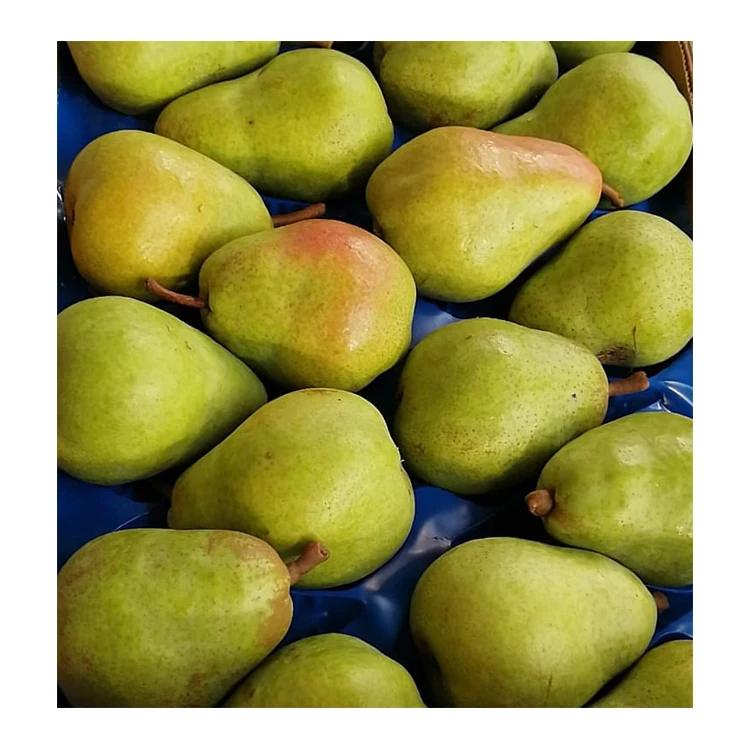 
Wholesale Good Quality Italian Pears Fresh Williams Pear Fruit 
