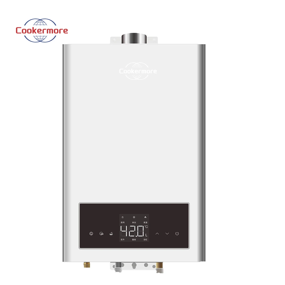 Robust construction tankless instant 240v electric water heater for bathroom exhausted type gas water heater with ce certificate