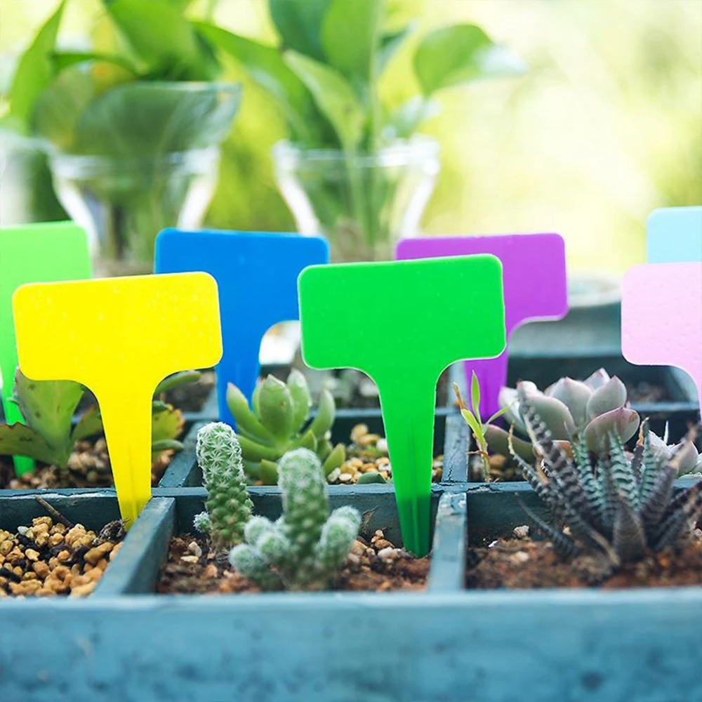 Label Manufactory Garden Plastic Tags Customizable Labels Plant Marker