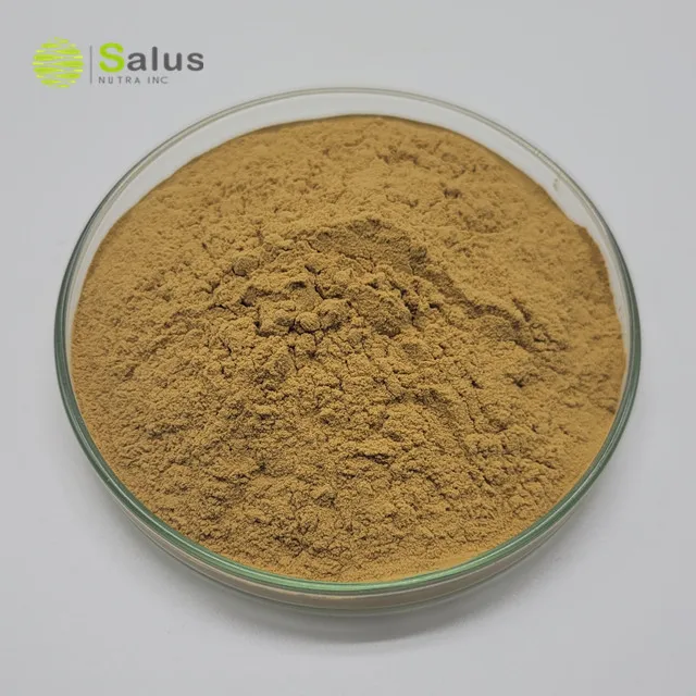 SALUS Wholesale Nuciferin 10% Lotus Leaf Extract Powder