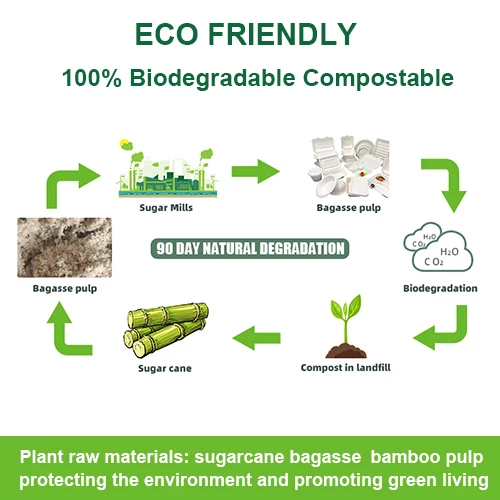 Sugarcane Tableware Bagasse Packaging 10Oz 12Oz 16Oz Biodegradable Salad Bowl Containers Pulp Mouldin Bagasse Bowl With Lid