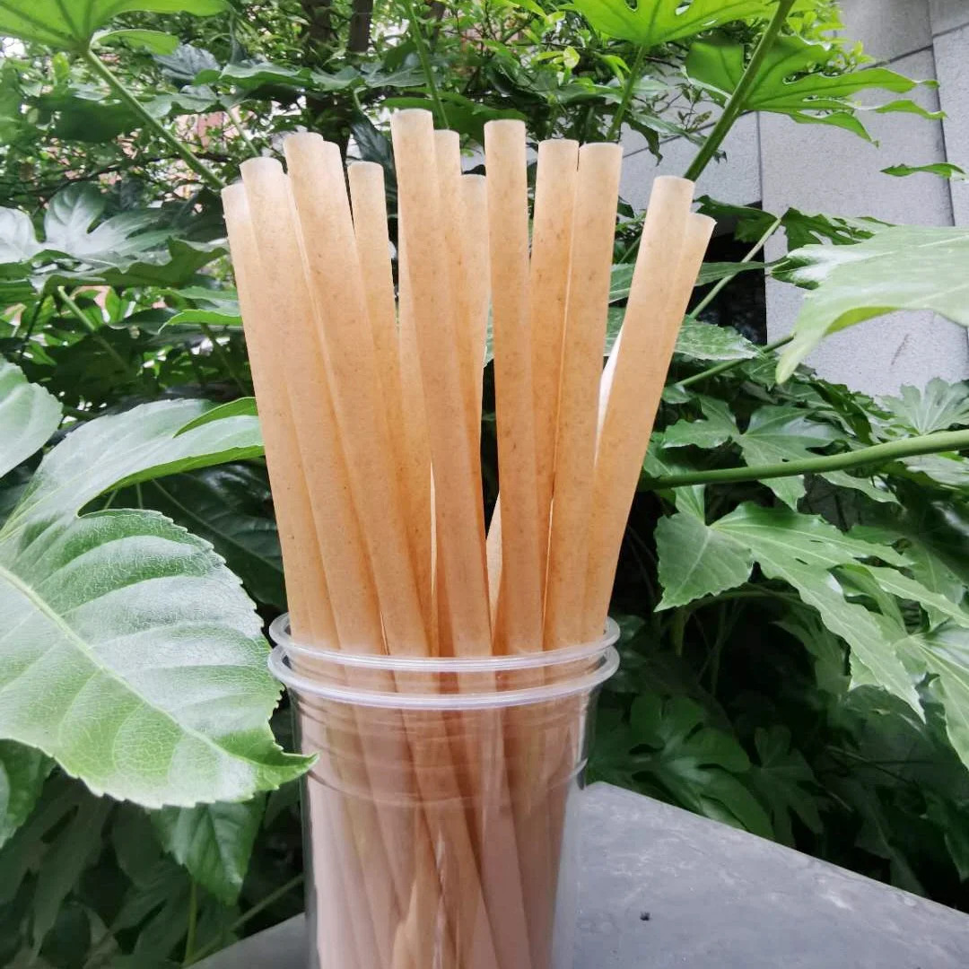 Vegetable fiber Individual wrapped sugarcane bagasse straw Compostable bio degradable Sugar cane drink straw