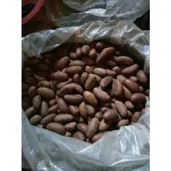 Origin Type Walnut Organic Fresh Nuts Chufa Nut Green Packaging Grade Product West African Bitter Kola Nut