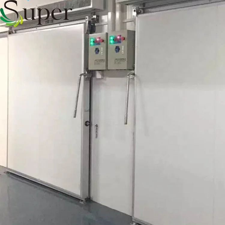 
Small Blast Freezer Cold Room / Cold Room Freezer / Air Chicken Blast Freezer 