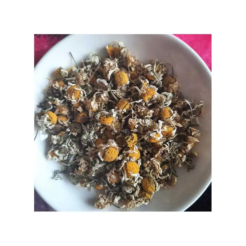 wholesale the 100% Cheap Flowers Gift Price Chamomille flowers