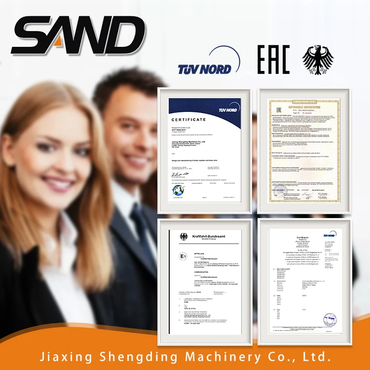 SAND High quality Air spring disc actuator diaphragm piston DP WT20/24 brake chambe BS9476-K004074 for BPW trailer bus truck