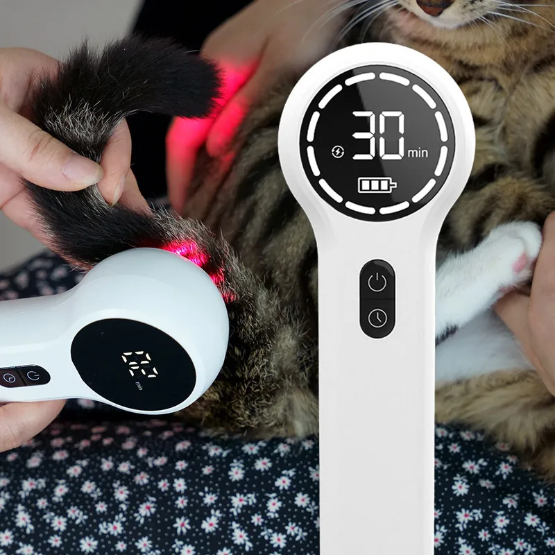 650nm And 808nm Advanced Handheld Pain Relief Device For Animals Veterinary Laser Therapy For Dogs