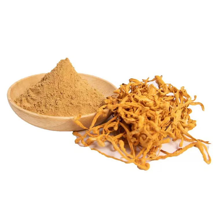 Cordyceps Flower Powder 30% Polysaccharides and Cordycepic Acid Tibet Organic Cordyceps Mushroom 100:1  Powder
