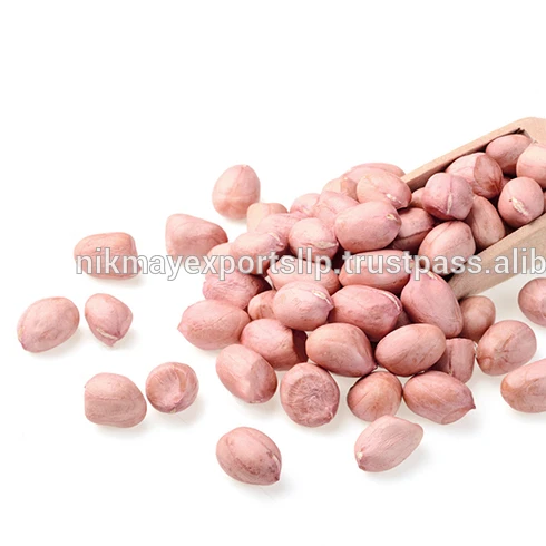 
GROUNDNUT PEANUT JAVA 50/60 ORIGIN ANDHRA PRADESH (AP) FROM NIK-MAY EXPORTS LLP 