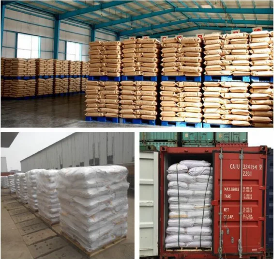 
Probiotic Bacillus subtilis for Agriculture 